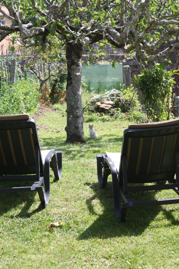 Loft Caminha Apartman Kültér fotó
